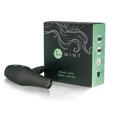 Mint-Hair-Dryer